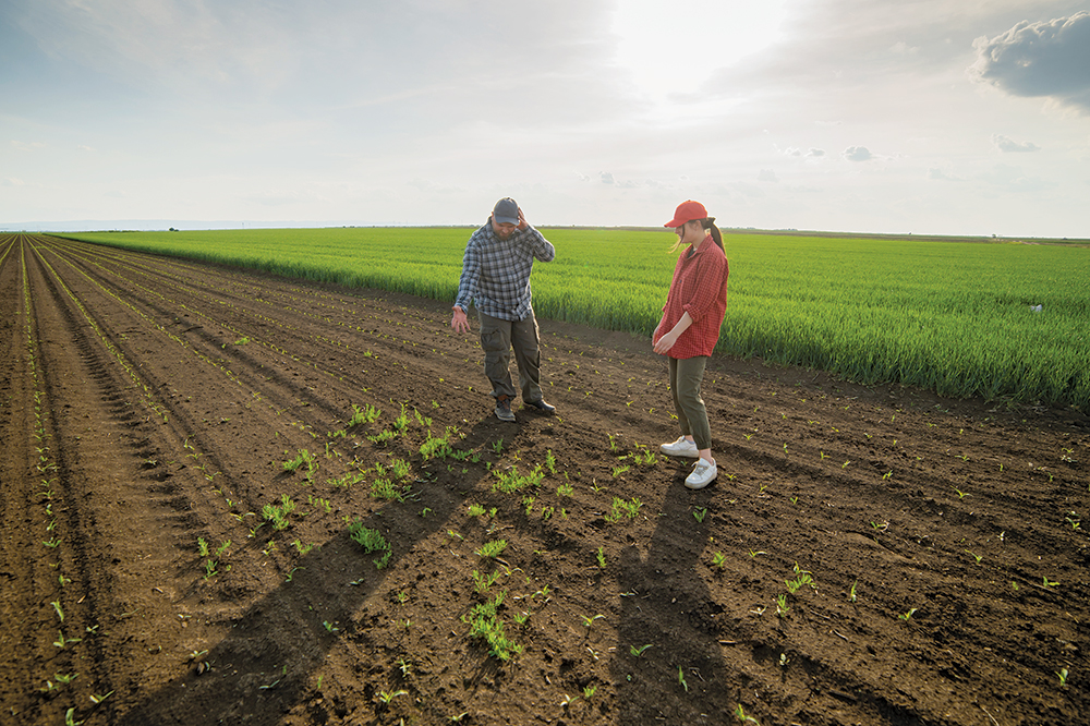 photo of man and woman in farm field