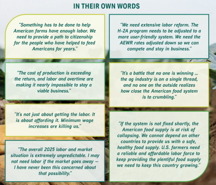 Quotes from growers on labor challenges.