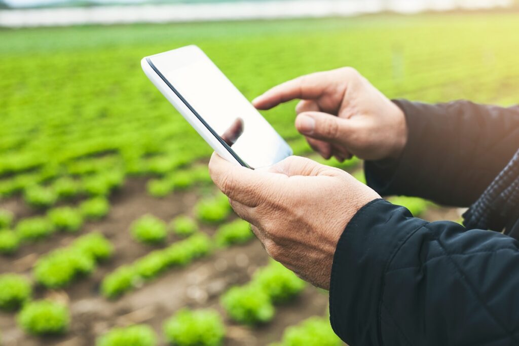 Farmers with tablet in the field.