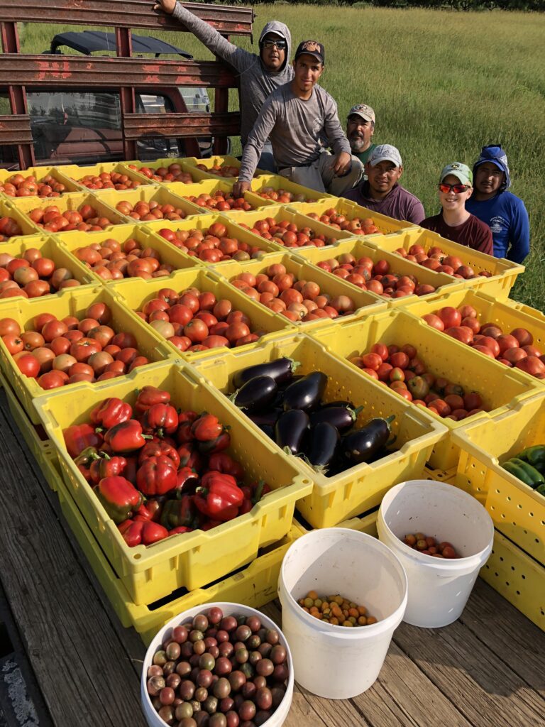 photo of farmworkers on back of truck loaded with vegetables