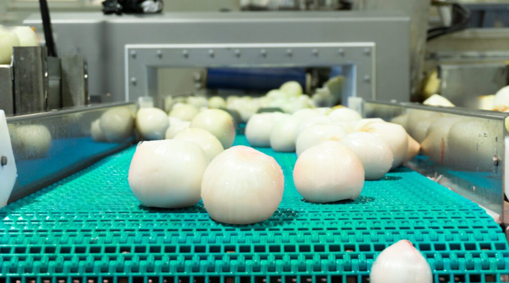 photo of onions running the packing line at Owyhee