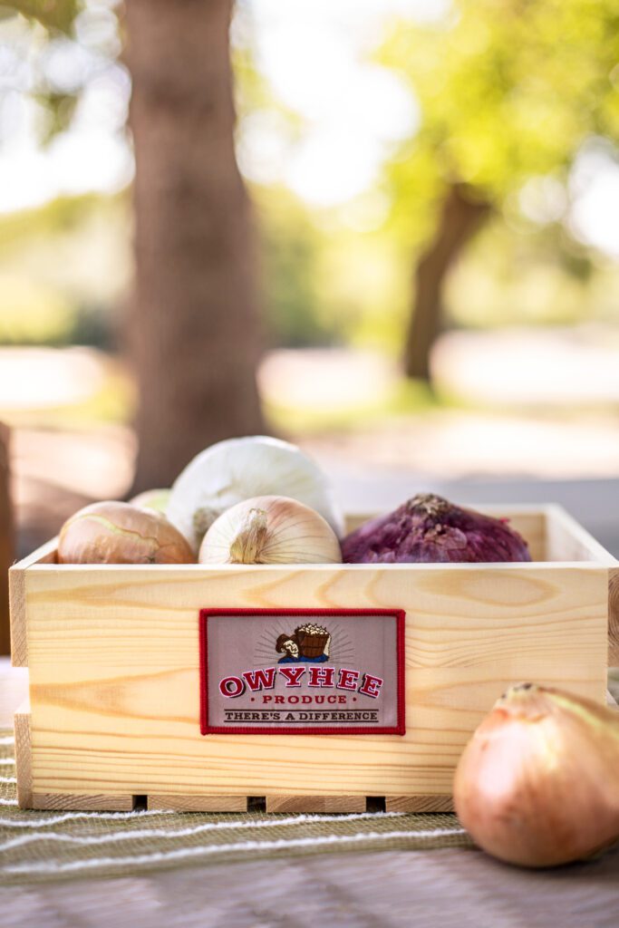 photo of onions in crate at Owyhee