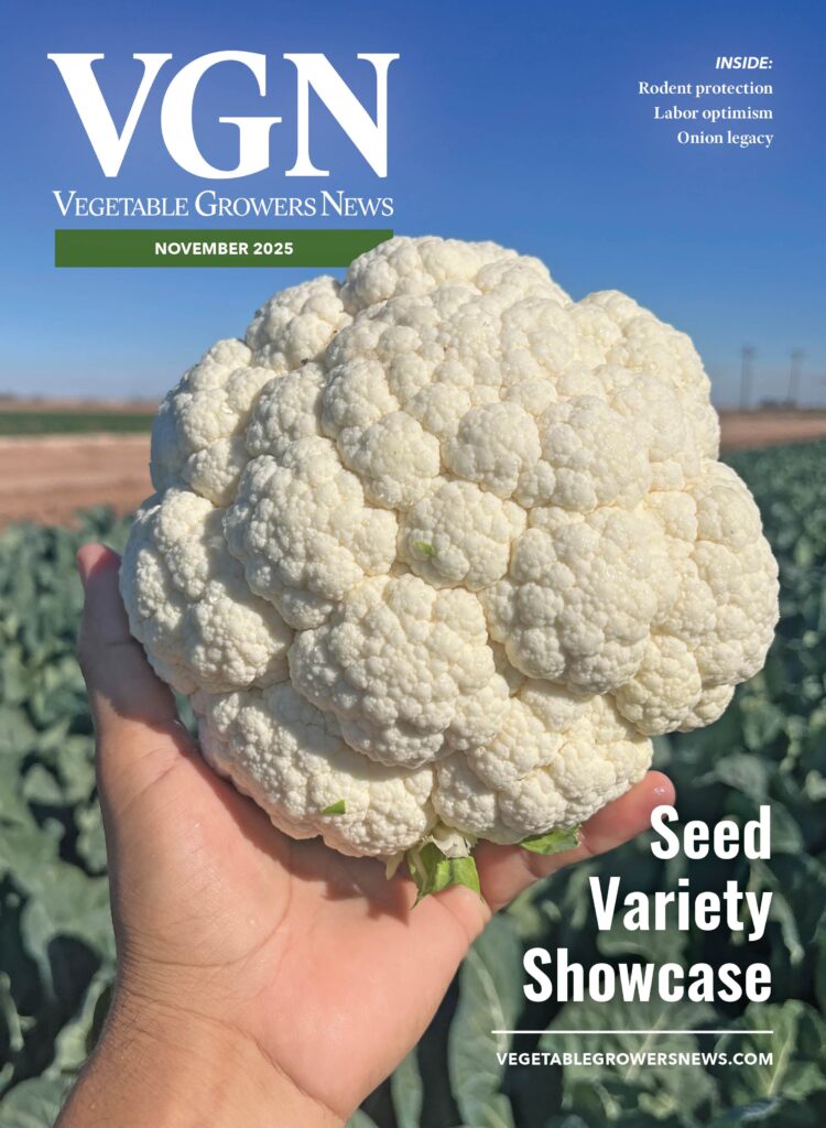 VGN November 2025 cover