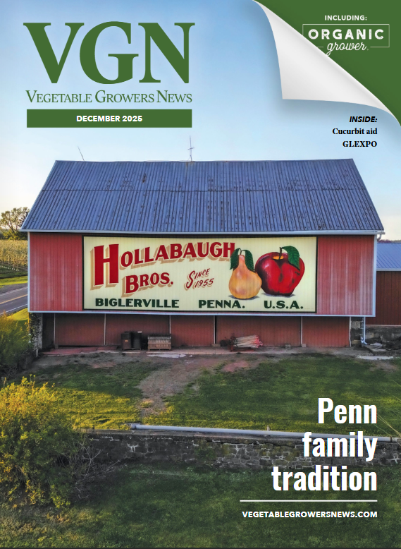 VGN December 2025 cover