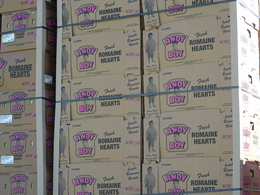 A stack of boxes with the Andy Boy log and words fresh romaine hearts.