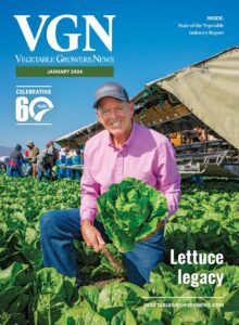 Man kneeling in a field while holding a head of lettuce on a sunny day.
