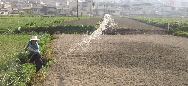Guatemalan valley visit unveils unique watering system