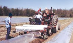 March 2007