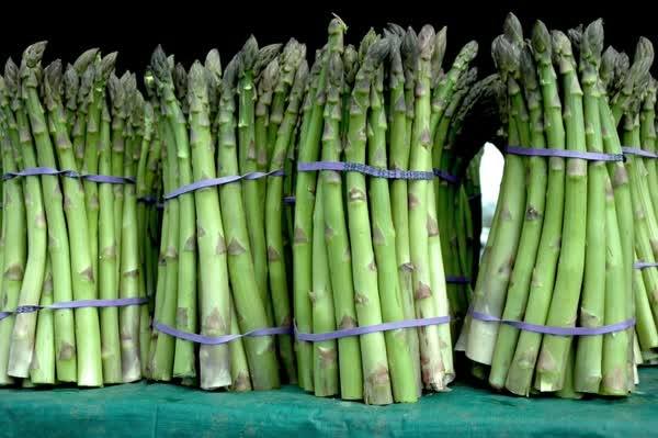 Michigan asparagus season gets underway