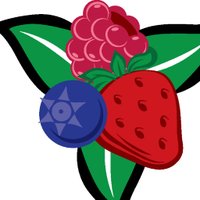 Ontario Berry Growers aided by government aid for production, promotion