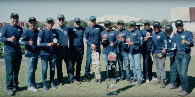 Strawberry Picking Challenge raises over $100,000 for charity