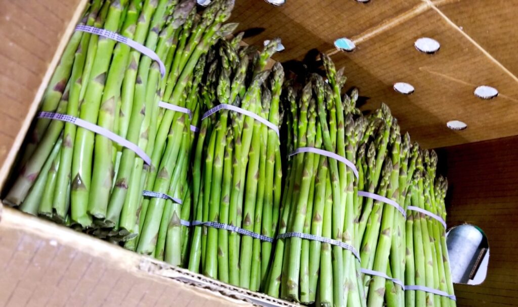 Growers approve Michigan asparagus program