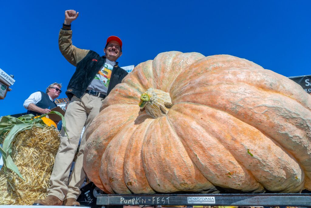 California’s world heavyweight championship of Godzilla gourds is on