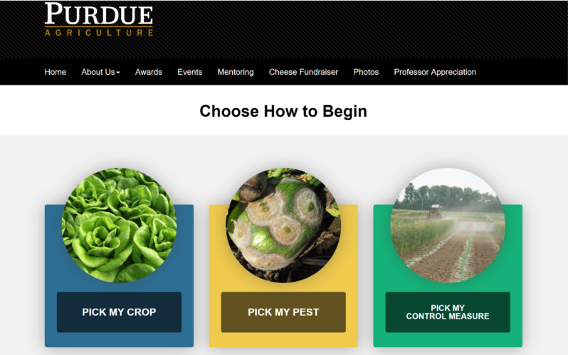 Midwest Veg Guide to be offered in digital format