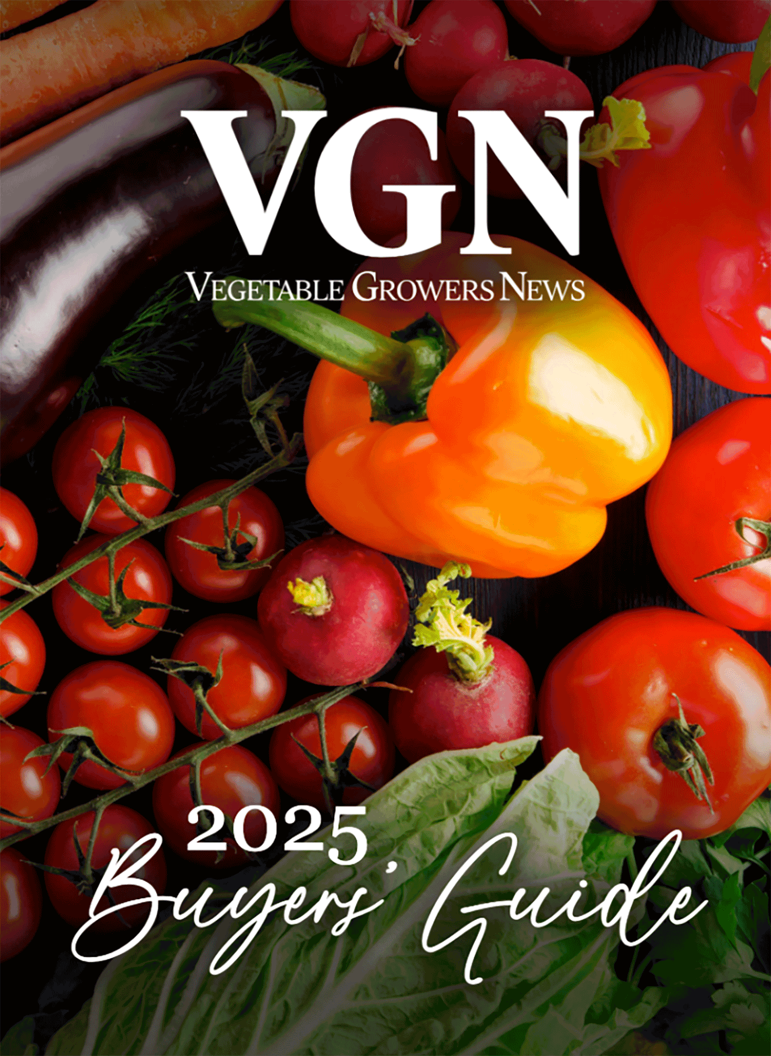 2025 Buyers’ Guide