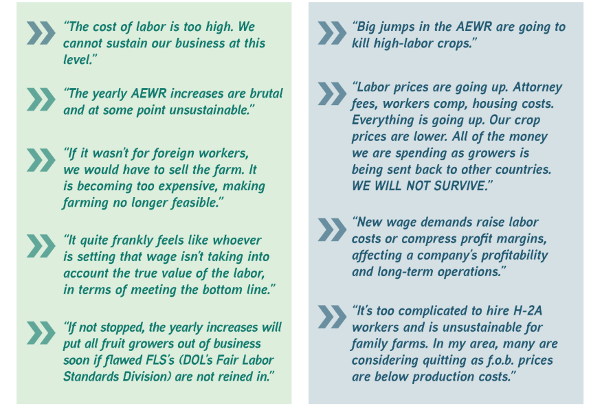 Quotes from growers on labor challenges