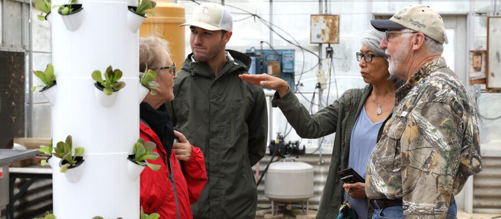 Undergraduate initiates urban farm on campus