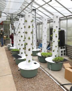 seedling towers