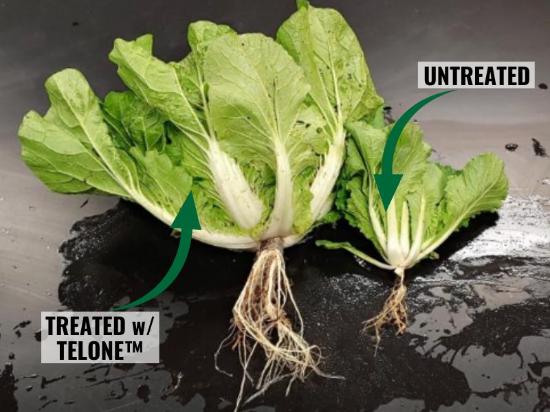 A Successful Season Starts With TELONE™