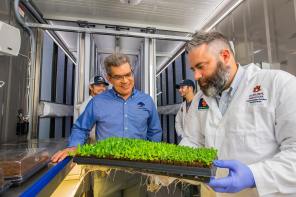 Desmond Layne, front left, head of Auburn’s Department of Horticulture, and Daniel Wells, associate professor, prepare to transplant lettuce plants to the vertical rows in a converted, high-tech shipping container. In the background are students Kyle Hensarling and Adam Lenhard. (Auburn University)