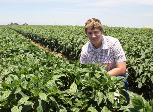 Colored mulches have their advantages