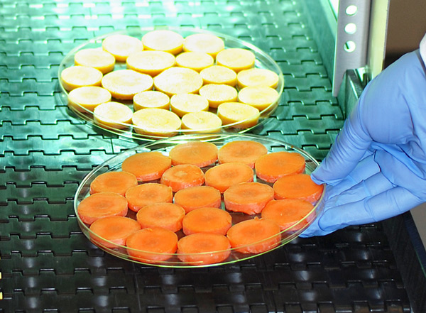 Ultraviolet light can boost antioxidants in carrots