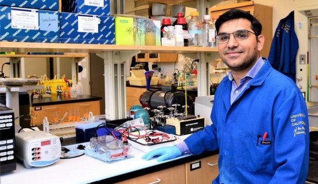 Scientists discover how plants defend themselves against nematodes