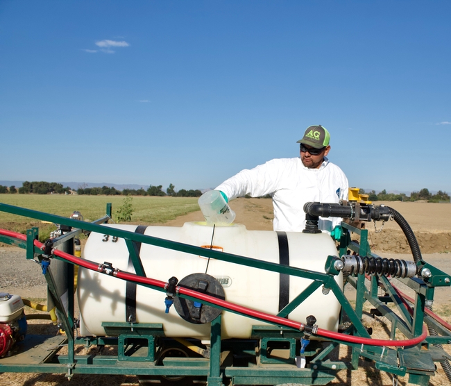 Protective eyewear should always be worn in California when handling pesticides. Photo by Katrina Hunter Protective eyewear should always be worn in California when handling pesticides. Photo by Katrina Hunter