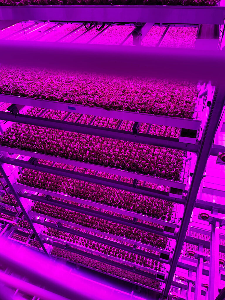 Arkansas Agricultural Experiment Station, 80 Acres Farms enter research agreement