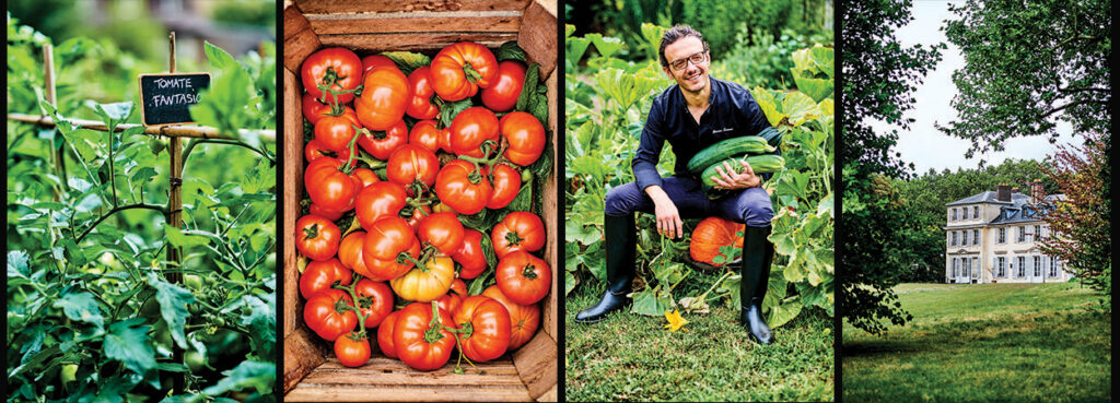 Paris Four Seasons hotel tries growing its own vegetables