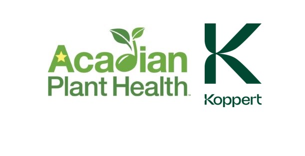 Acadian, Koppert partnership to expand biostimulant access