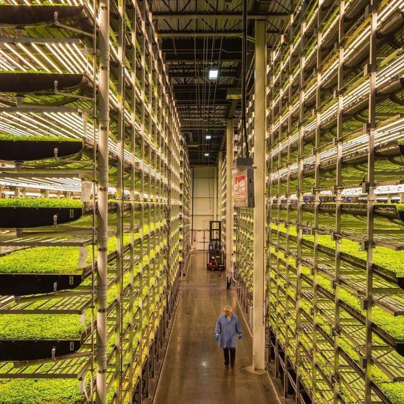 AeroFarms announces Midwest expansion with new farm in St. Louis region