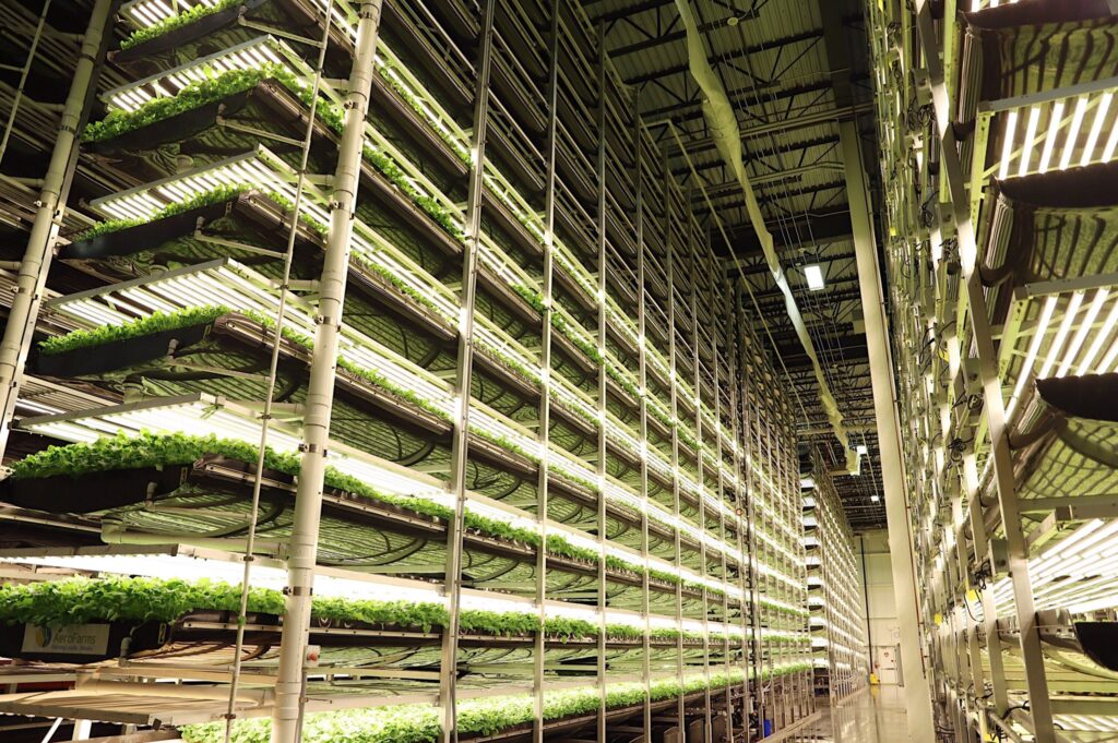 AeroFarms expands global headquarters to support growth and innovation