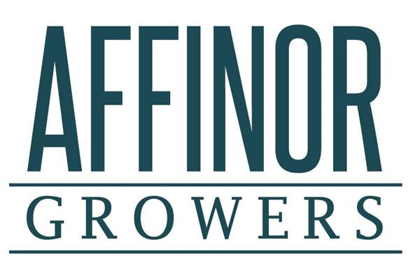 Strawberry wholesale distribution agreement signed by Affinor Growers