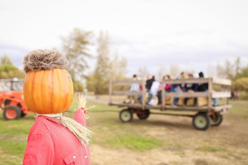 Washington governor eases restrictions on agritourism outlets