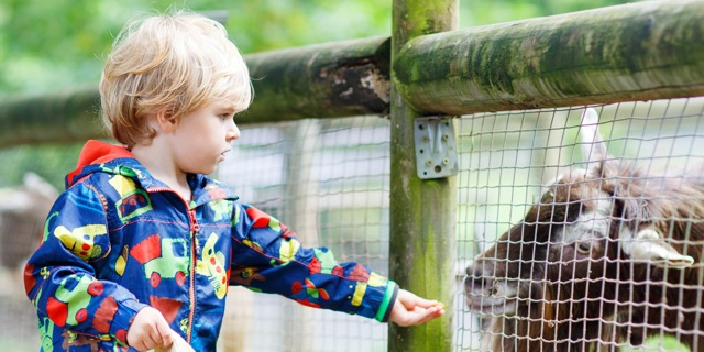 Disease prevention practices for agritourism Michigan survey topic