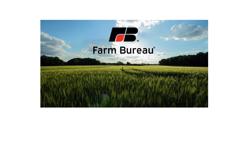 Report: 4th of July summer cookout cost hits record high