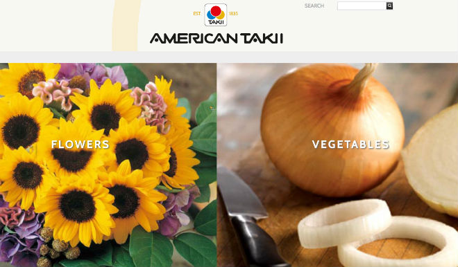 American Takii fills new vegetable department position