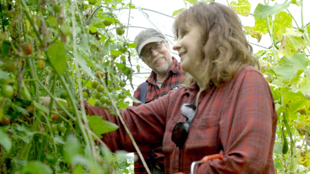 ‘The American Farm’ debuting Thursday to feature Alaska vegetable grower