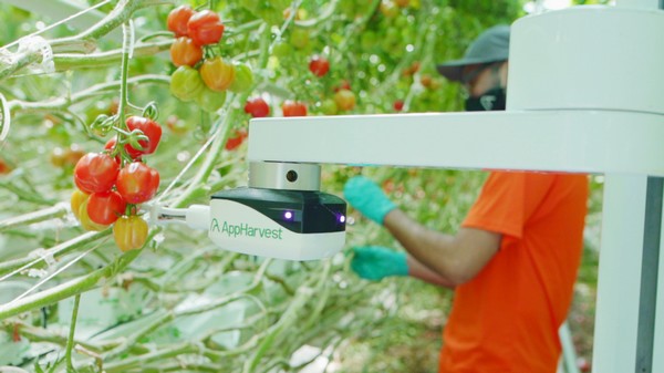 AppHarvest acquires Root A1 and its signature data-collecting robot, Virgo