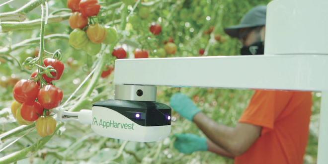 AppHarvest grows indoors for tomatoes, other produce