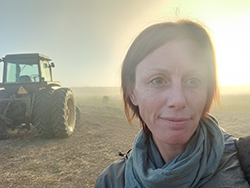 Study looks at cover crops, plastic in organic growing