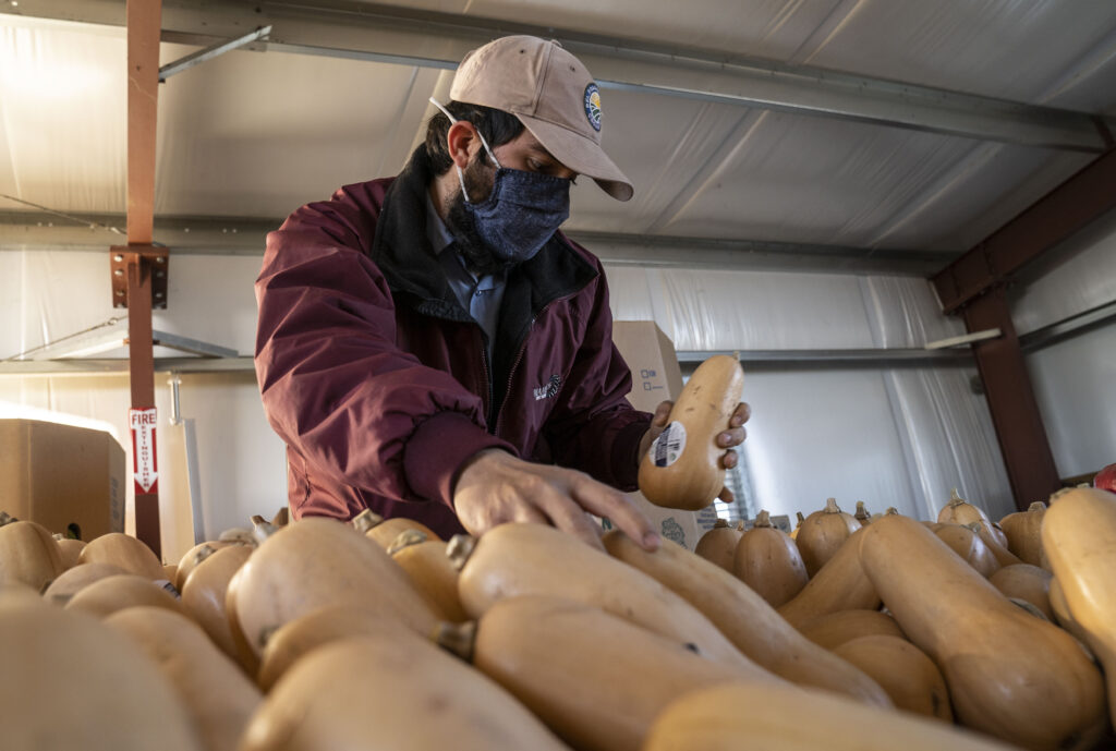 Improving farmworker COVID-19 safety aided as UC Davis launches $3M project