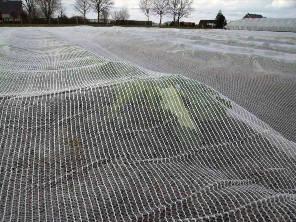 Arrigoni Arricover: Crop protection from spring frosts