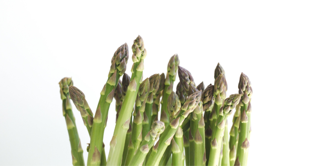 Michigan Asparagus season ends with strong sales
