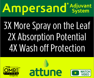 Partnership with Nufarm Grupo brings Ampersand adjuvant to Mexico