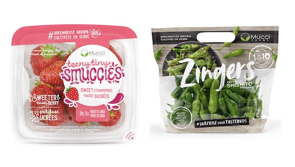 Winners of 2020 CPMA Virtual New Product Showcase announced