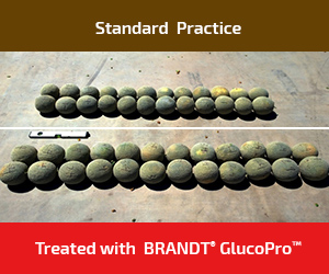 BRANDT unveils plant growth regulator with unique mechanism