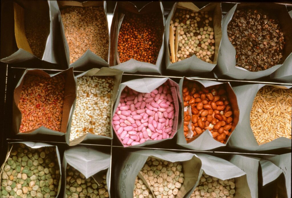 ASTA helps sow the future of seed technology