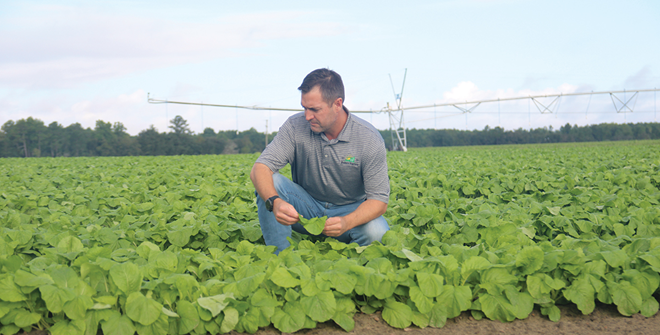 Going greens: Baker Farms finds success in timely switch